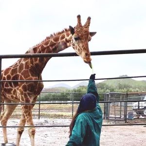 Meet your Posher, Janeth